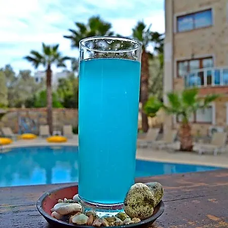 Bodrum Oscar 호텔 검벳